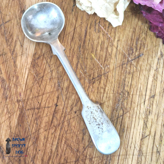 Silver Salt Spoon